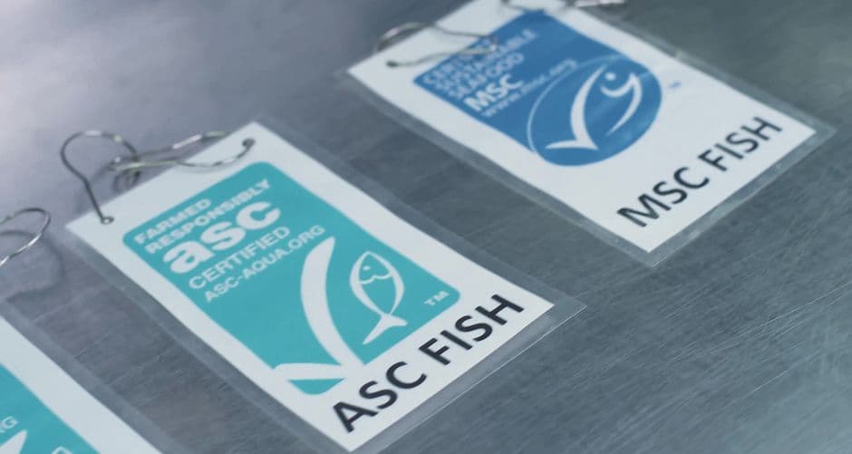 SUSTAINABILITY Series